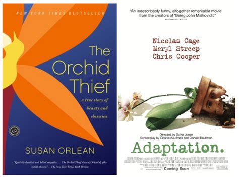 Adaptation! A Surreal Journey Through Orchid Thieves and Alcoholic Screenwriters!